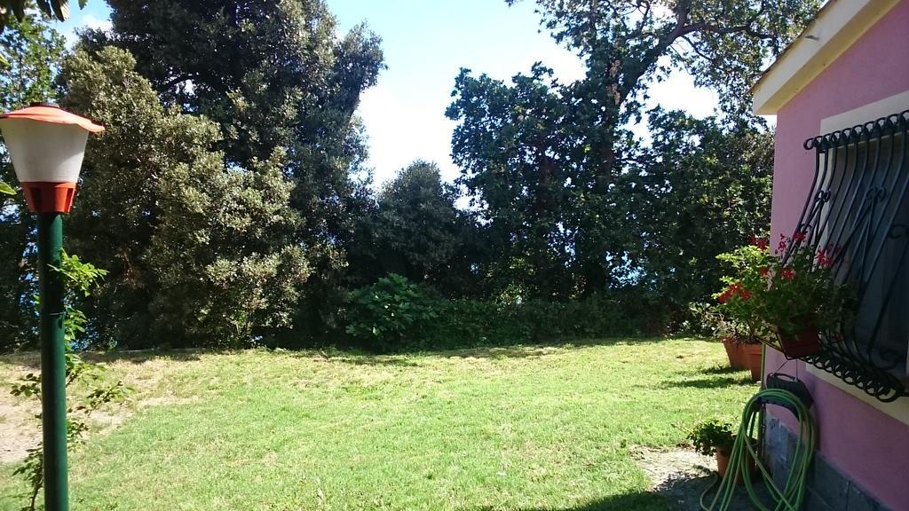 Villa Venino Moneglia Exterior foto
