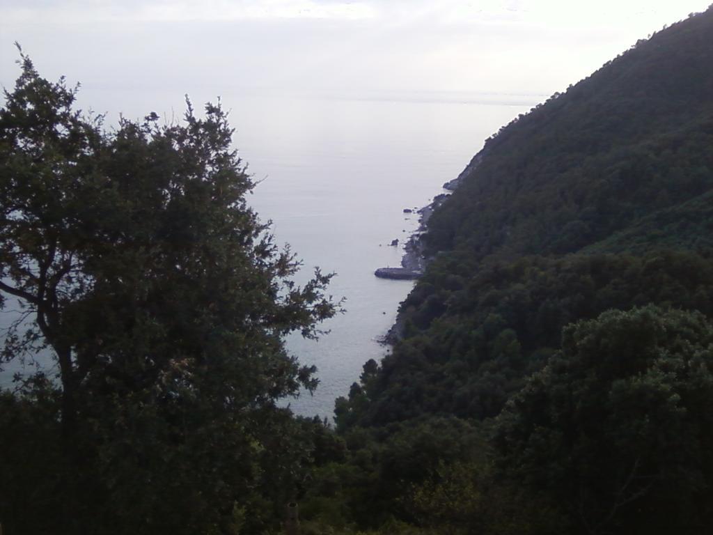 Villa Venino Moneglia Exterior foto